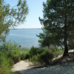 Lacanau lake, canoeing and stand up paddle board (SUP)